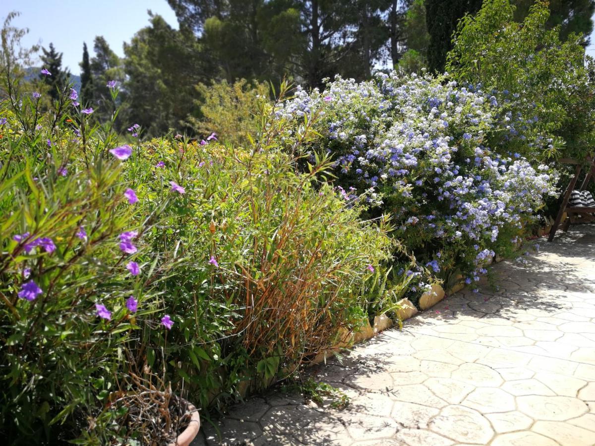 Murgia