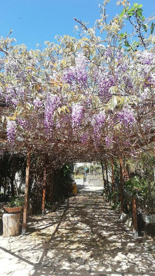 Murgia